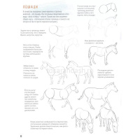 Книга-скетчбук "Создаем наброски животных и птиц шаг за шагом: 50 проектов" 64стр. 978-5-00141-321-9 от магазина "Карандаш"