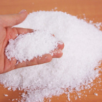 Снег рассыпной 20гр белый мелкий Y9901-24 от магазина "Карандаш"