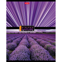 Тетрадь А5 96л линия "Полосатый мир" на скобе 96Т5В2/042678 от магазина "Карандаш"