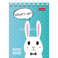 Блокнот А7 40л "Прикольные зайцы" без линовки, на спирали, 6 дизайнов 40Б7В1гр/061437 от магазина "Карандаш"