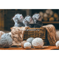 Пазлы 2000 эл. "Premium. Хвостатые полосатые" 98х68см 2000ПЗ1_21008/071651 от магазина "Карандаш"