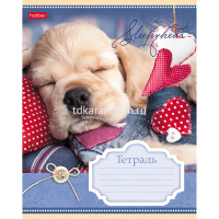 Тетрадь А5 12л клетка "Сони-Засони" на скобе 5 дизайнов 12Т5В1/046653 от магазина "Карандаш"