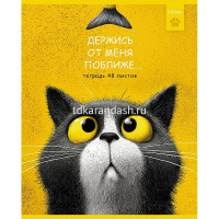 Тетрадь А5 48л клетка "Пушистый философ" на скобе тиснение 5 дизайнов 48Т5тВ1/095072 от магазина "Карандаш"