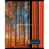 Тетрадь А5 96л линия "Полосатый мир" на скобе 96Т5В2/042678 от магазина "Карандаш"