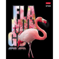 Тетрадь А5 48л клетка "Птица Дивная" на скобе 3D лак матовая ламинация 5 дизайнов 061406 от магазина "Карандаш"