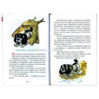 Книга "Школьная библиотека. Рассказы про зверей и птиц" Чарушин 94стр. 978-5-9781-0911-5 от магазина "Карандаш"