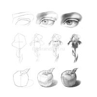 Скетчбук 21х21см 60л 120г/м2 "Щенок с цветком" спираль, твердая обложка 60Тт4Aгр_22202/061030 от магазина "Карандаш"