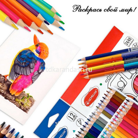 Карандаши 24 цвета "Color Pencils" трехгранные дерево, картон 9402-24 от магазина "Карандаш"
