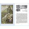 Книга "Школьная библиотека. Сын полка" 160стр. Катаев В.П. 978-5-9781-1075-3 от магазина "Карандаш"