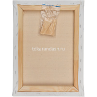 Холст на подрамнике 30х40см 280г/м2, 100% хлопок, среднее зерно GPA1863040 от магазина "Карандаш"