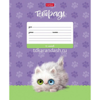 Тетрадь А5 12л линия "Кошарики" на скобе 5 дизайнов 074360 от магазина "Карандаш"