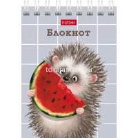 Блокнот А7 40л "Хорошо быть ёжиком" клетка, на спирали 6 дизайнов 081183 от магазина "Карандаш"