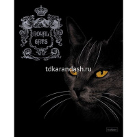 Тетрадь А5 48л клетка "Royal Cats" на скобе 3D фольга 3D лак матовая ламинация 5 дизайнов 066595 от магазина "Карандаш"