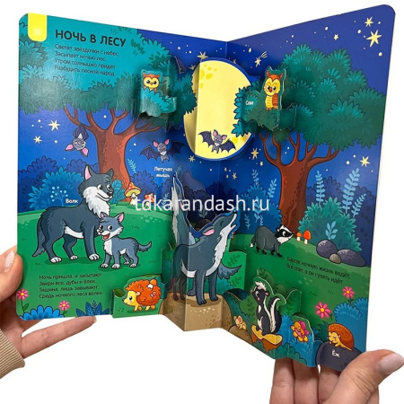 Книжка с окошками "Играй и учись. Лес" 12стр. 9785001346388 от магазина "Карандаш"