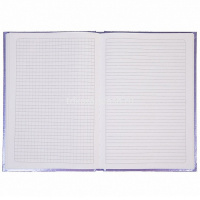 Бизнес-блокнот А5 80л "METALLIC. Фиолетовый" клетка/линия 7БЦ тиснение 067473 от магазина "Карандаш"