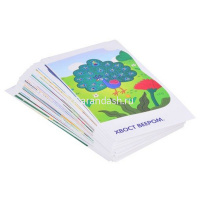 Набор карточек. Звуки В и Вь. Тренируем произношение 48стр. 978-5-8112-7775-9 от магазина "Карандаш"