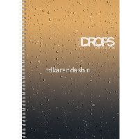 Тетрадь А4 80л линия "Drops" на гребне перфорация на отрыв глянцевая ламинация 2 дизайна 088871 от магазина "Карандаш"