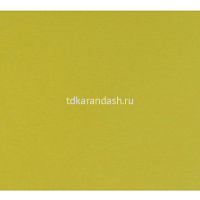 Бумага для пастели 50х65см 160г/м2 фисташковая (хлопок 45%) 15011456 от магазина "Карандаш"