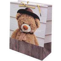 Пакет подарочный "Медвежонок" 31х42х12см 4 вида SK2409 от магазина "Карандаш"