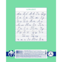 Тетрадь А5 12л частая косая линия "Premium. Панда-Тетрадь" на скобе, 80 гр/кв.м. 12Т5A5_23630/067212 от магазина "Карандаш"