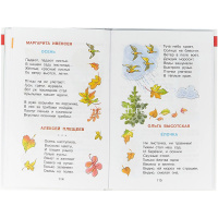 Книга "Библиотека детского сада. Хрестоматия для младшей группы" 192стр. 978-5-9781-0889-7 от магазина "Карандаш"