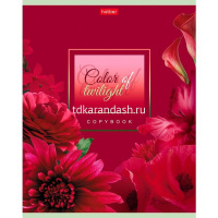Тетрадь А5 96л клетка "Цвета дня" на скобе 5 дизайнов 96Тд5В1/046861 от магазина "Карандаш"