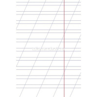 Тетрадь А5 12л косая линия "Premium. Панда-Тетрадь" на скобе, 80 гр/кв.м. 12Т5A6_23630/065199 от магазина "Карандаш"