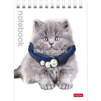 Блокнот А6 40л "Милые Котята" клетка на гребне 40Б6B1гр/004667 от магазина "Карандаш"