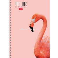 Тетрадь А4 96л клетка "Кто здесь?" на спирали матовая ламинация 4 дизайна 96Т4лВ1гр/066229 от магазина "Карандаш"