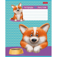 Тетрадь А5 18л клетка "Рыжий Коржик" на скобе тиснение 5 дизайнов 18Т5тВ1/080098 от магазина "Карандаш"
