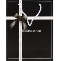 Пакет подарочный "Подарочная коробка" 18х23х10см 4 цвета Y10554-24 от магазина "Карандаш"