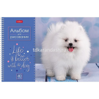 Альбом для рисования А4 40л "Doggie-Щенки" на спирали, перфорация на отрыв, 4 дизайна от магазина "Карандаш"