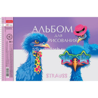 Альбом для рисования А4 40л "Модные страусы" на спирали, перфорация на отрыв, 4 дизайна 085174 от магазина "Карандаш"