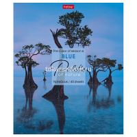 Тетрадь А5 48л клетка "Ассорти. Выпуск №1" на скобе 5 дизайнов 48Т5В1/087345 от магазина "Карандаш"