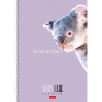 Тетрадь А4 96л клетка "Кто здесь?" на спирали матовая ламинация 4 дизайна 96Т4лВ1гр/066229 от магазина "Карандаш"