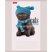 Тетрадь А5 12л клетка "Кототерапия" на скобе, 5 дизайнов 12Т5В1/058038 от магазина "Карандаш"