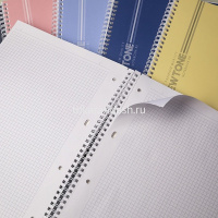 Тетрадь А4 80л клетка "NEWtone Pastel Soft-touch. Серый агат" на спирали многоуровн.перфорация от магазина "Карандаш"