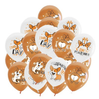 Шар воздушный 30см(12") Корги С Днем Рождения WHITE&ORANGE 1ст. 6072292 от магазина "Карандаш"