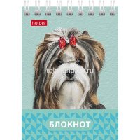 Блокнот А7 40л "Глазки, ушки, носик" клетка, на спирали 6 дизайнов 081186 от магазина "Карандаш"