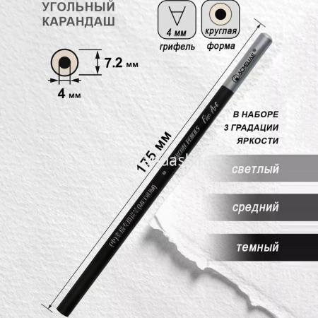Набор угольных карандашей 3шт и углей прессованных 6шт в металлическом футляре C0009 от магазина "Карандаш"