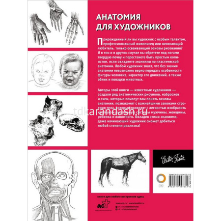 Книга "Полный курс рисования. Анатомия для художников" 128стр. 978-5-17-104735-1 от магазина "Карандаш"