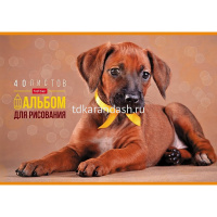 Альбом для рисования А4 40л "Любимые питомцы" на скобе 5 дизайнов 079741 от магазина "Карандаш"