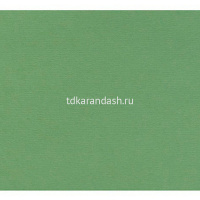 Бумага для пастели 70х100см 160г/м2 зеленый сок 15011581 от магазина "Карандаш"
