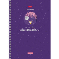 Тетрадь А4 80л клетка "Навстречу мечтам" на спирали глянцевая ламинация 4 дизайна 083176 от магазина "Карандаш"