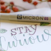 Ручка капиллярная "Pigma Micron" 0,2мм красная XSDK005#19 от магазина "Карандаш"