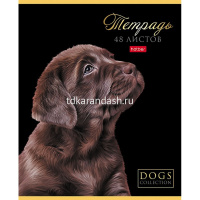 Тетрадь А5 48л клетка "Портрет лучшего друга" на скобе выборочный лак 5 дизайнов 080210 от магазина "Карандаш"