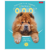 Тетрадь А5 48л клетка "ДоброЛапки. Выпуск №2" на скобе матовая ламинация 5 дизайнов 072108 от магазина "Карандаш"