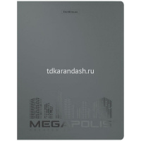 Папка на 2-х кольцах "Megapolis" А4 35мм пластик 0,60мм, ассорти, внутренний карман 49983 от магазина "Карандаш"