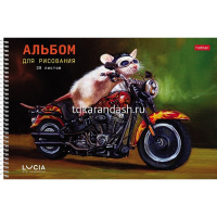 Альбом для рисования А4 30л "Узнай себя!" на спирали перфорация на отрыв, 5 дизайнов 085470 от магазина "Карандаш"