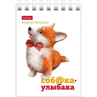 Блокнот А7 40л "Соб@ка-улыбака" клетка, на спирали, 6 дизайнов 081185 от магазина "Карандаш"